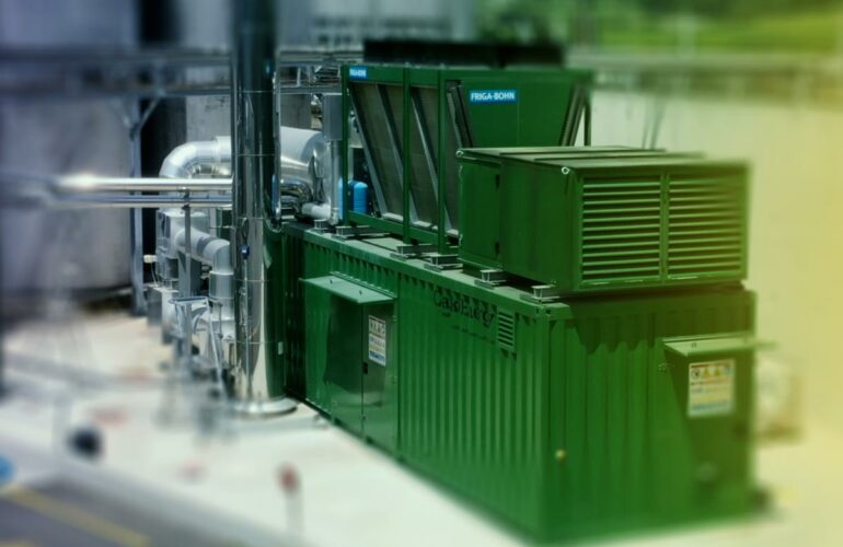 Biogas cogeneration engine at REVICO